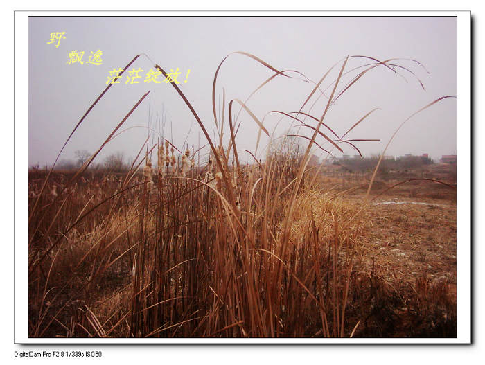 201012222359.jpg