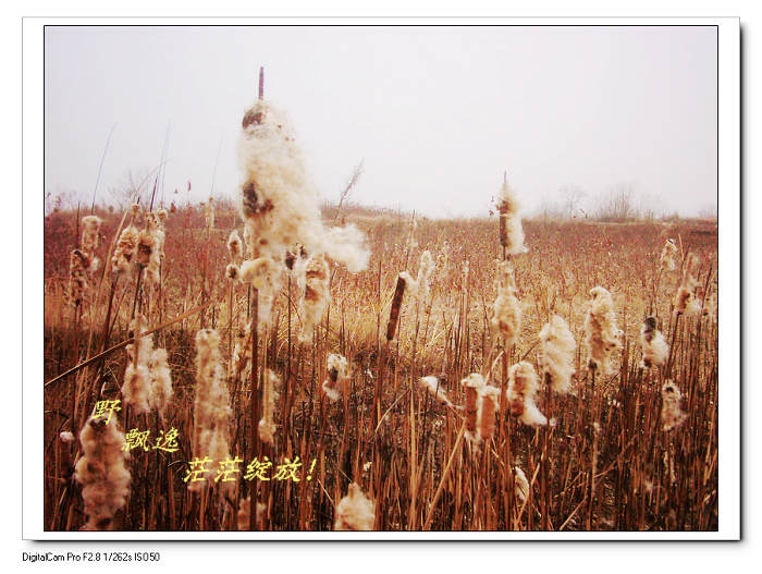 2010122223552.jpg
