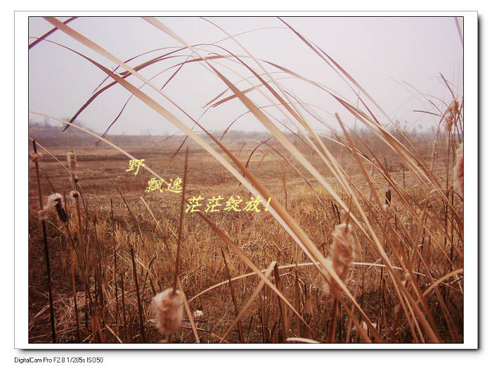 2010122225144.jpg