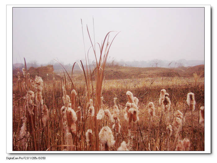 2010122224126.jpg