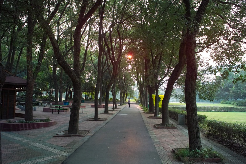 sdim0805.jpg