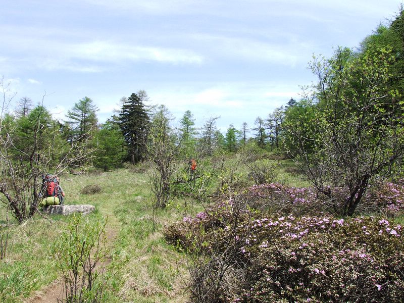 dscf7391.jpg