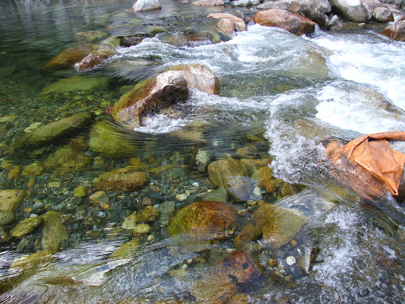 dscf7384.jpg