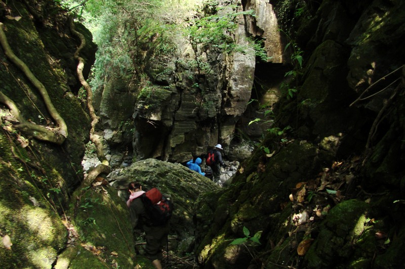 dsc07577.jpg