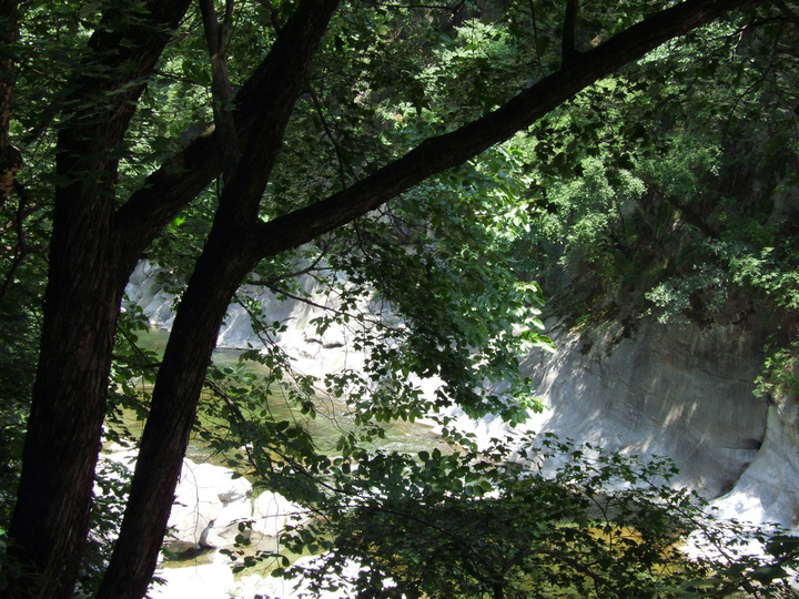 dscf7357.jpg