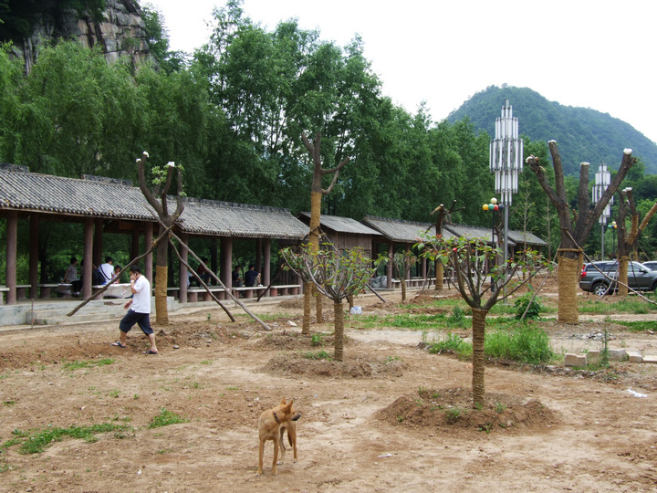 dscf7363.jpg