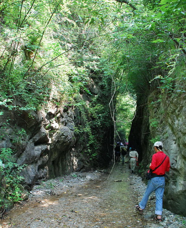 dsc_0952.jpg