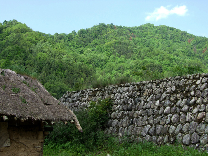 dscf7382.jpg