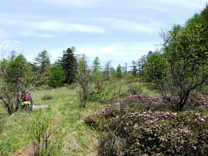 dscf7391.jpg