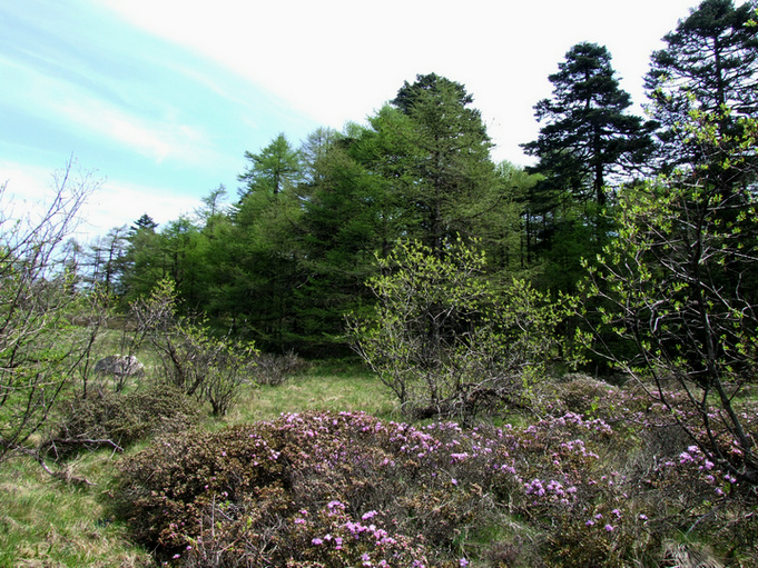 dscf7392.jpg