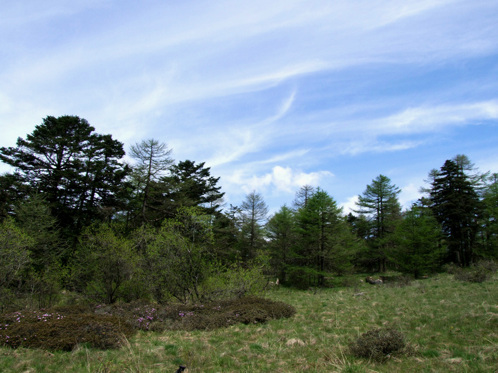 dscf7393.jpg