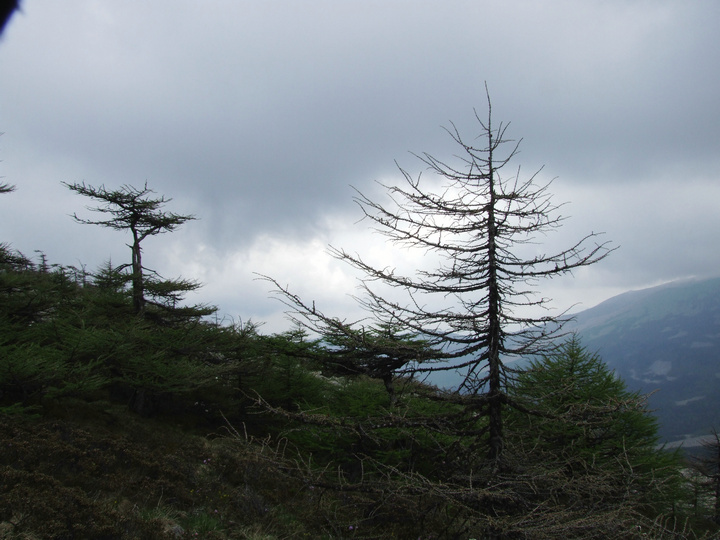 dscf7406.jpg