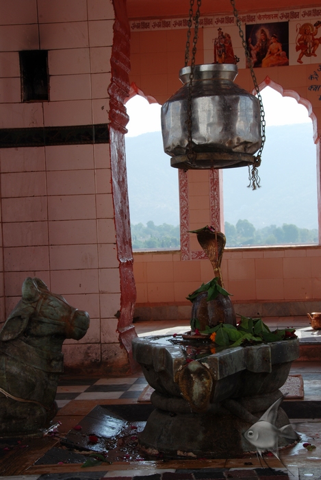 11201047.jpg