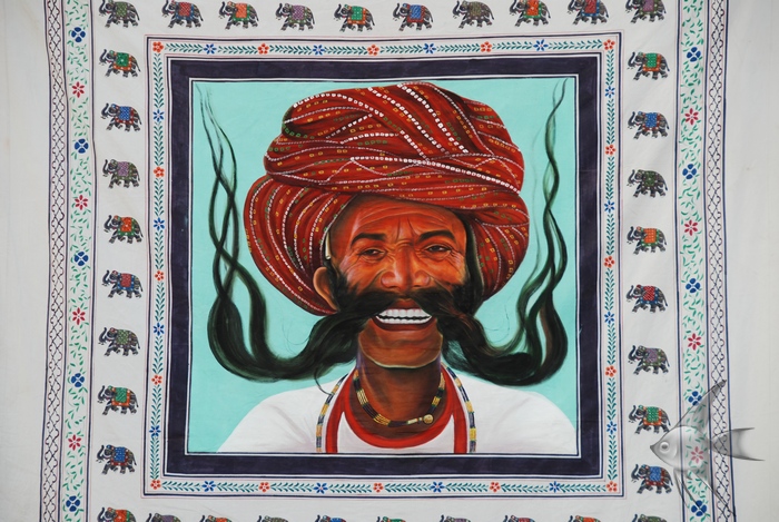 11201654.jpg