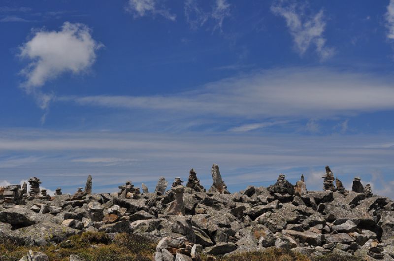 dsc_0042.jpg