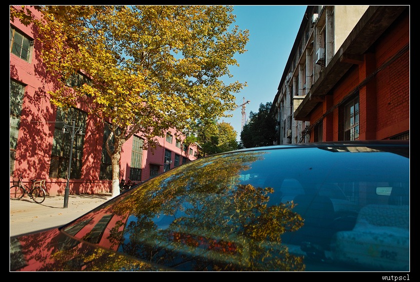sdim1160.jpg