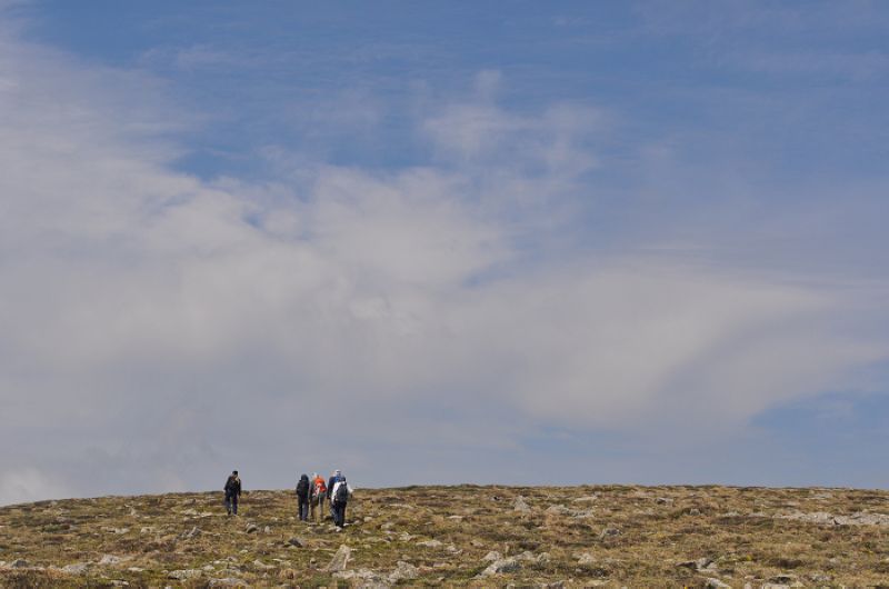 dsc_2019.jpg