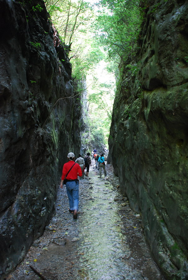 dsc_0954.jpg