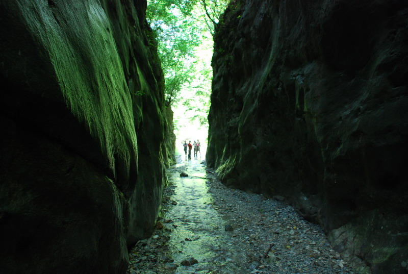 dsc_0955.jpg