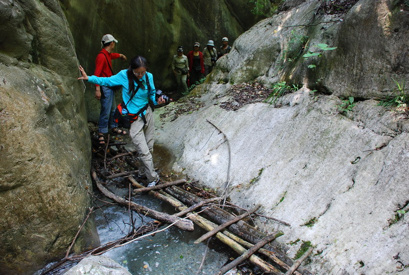 dsc_0961.jpg