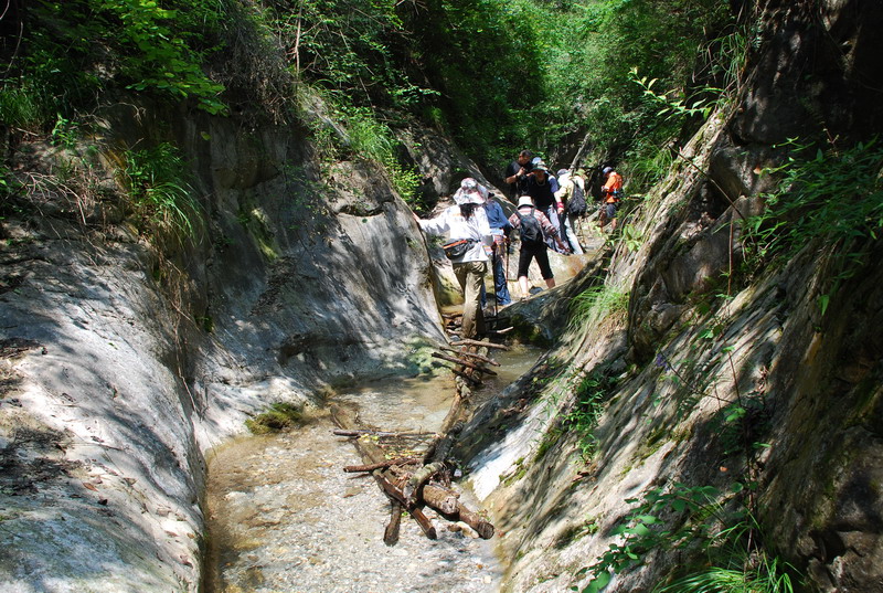 dsc_0962.jpg