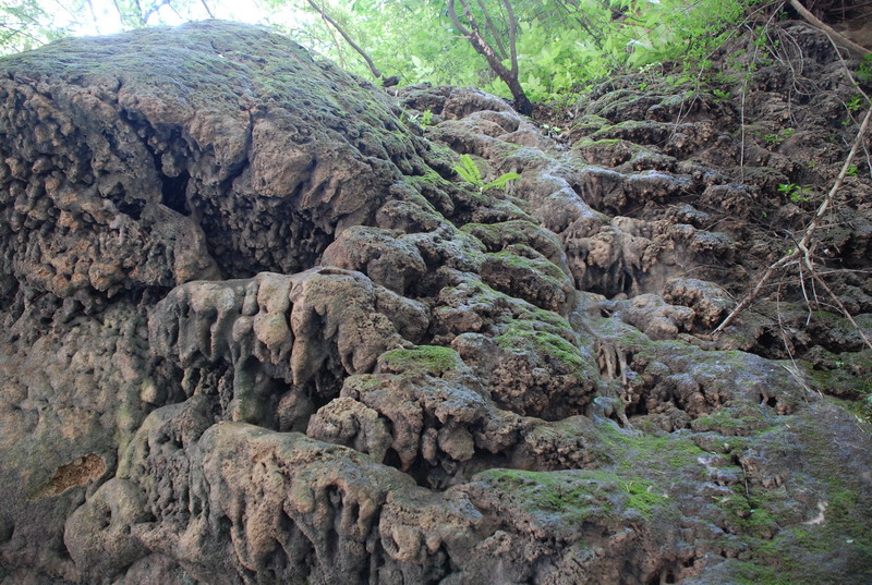 dsc_0965.jpg