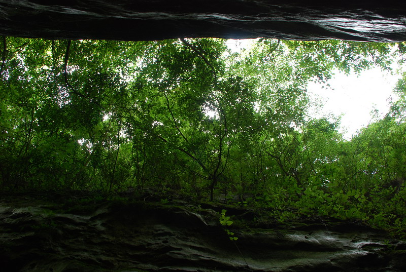 dsc_0975.jpg