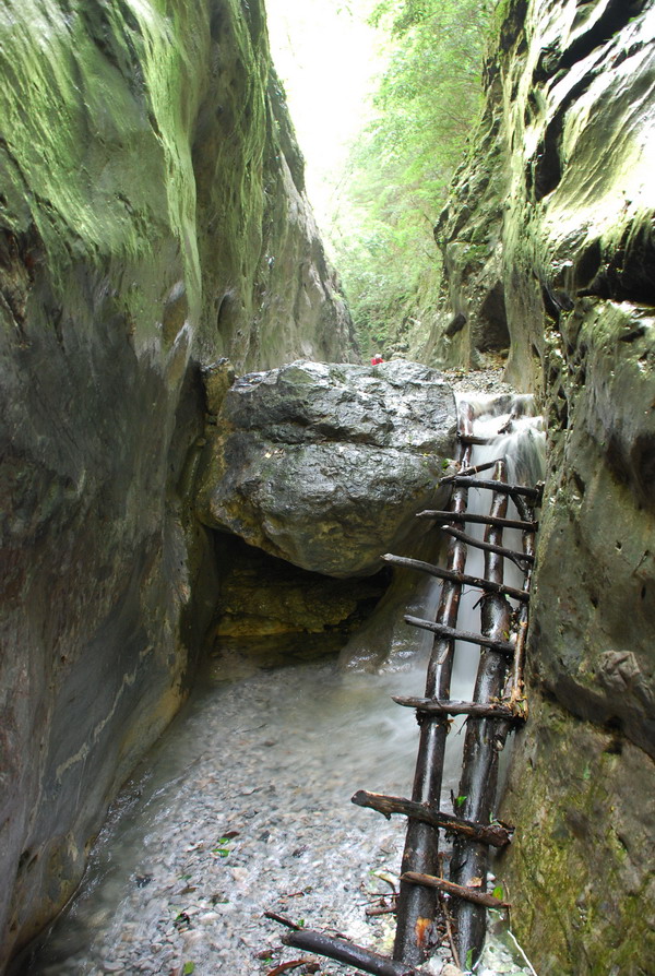 dsc_0976.jpg