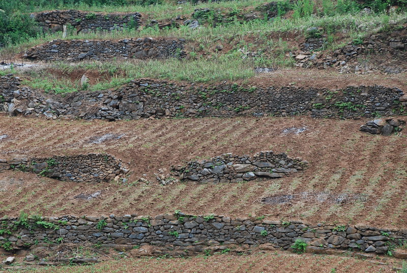 dsc_2015.jpg