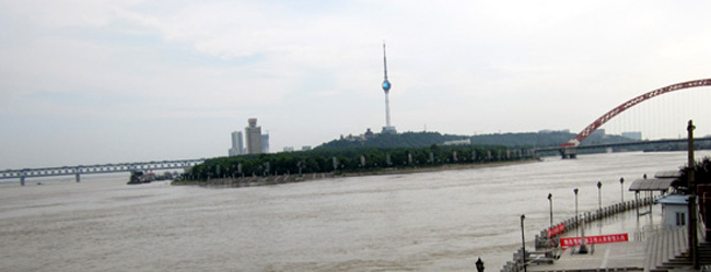 img_0892.jpg
