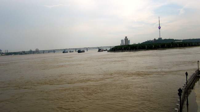 img_0931.jpg