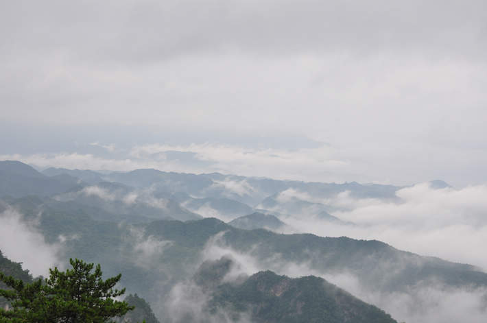 dsc_0344.jpg