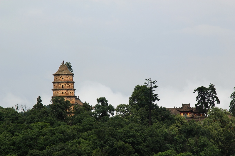 2img_0651.jpg
