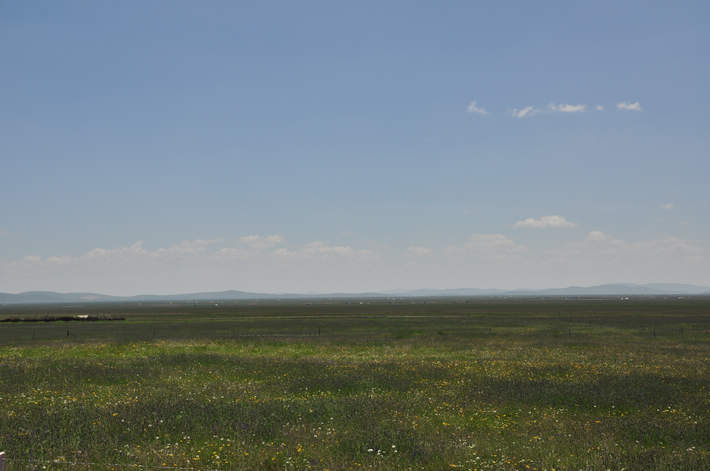 dsc_0127.jpg