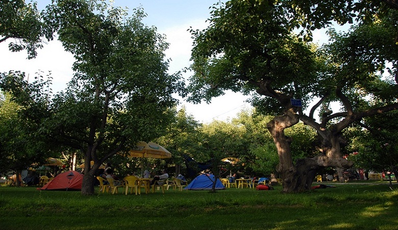 dsc_0659.jpg