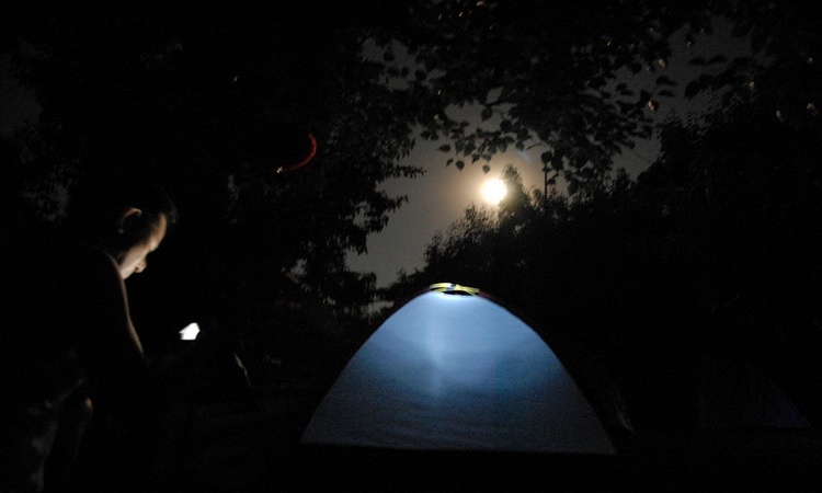 dsc_0655.jpg
