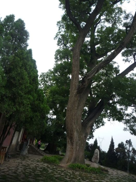 p1040010.jpg