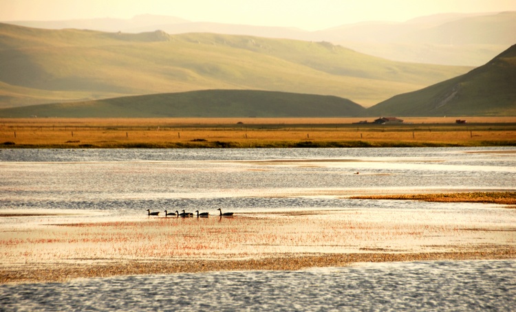 dsc_1026.jpg