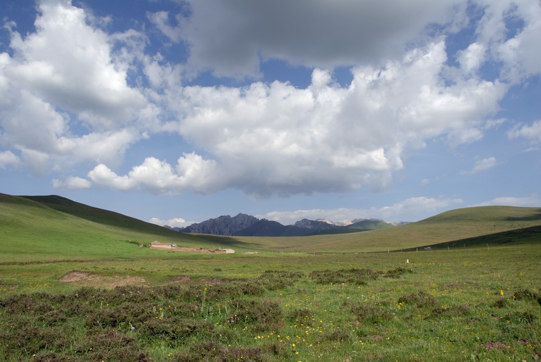 dsc_0908.jpg