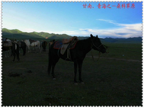 img_0317_1.jpg