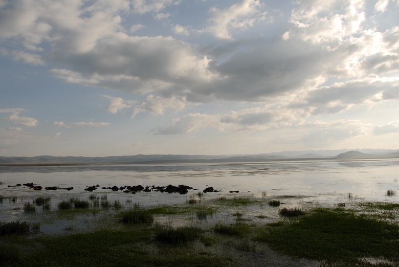 dsc_0993.jpg