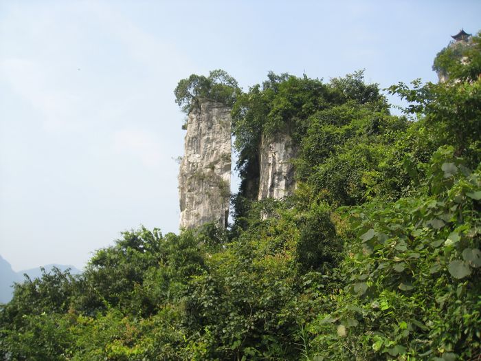 Ƭ 117.jpg