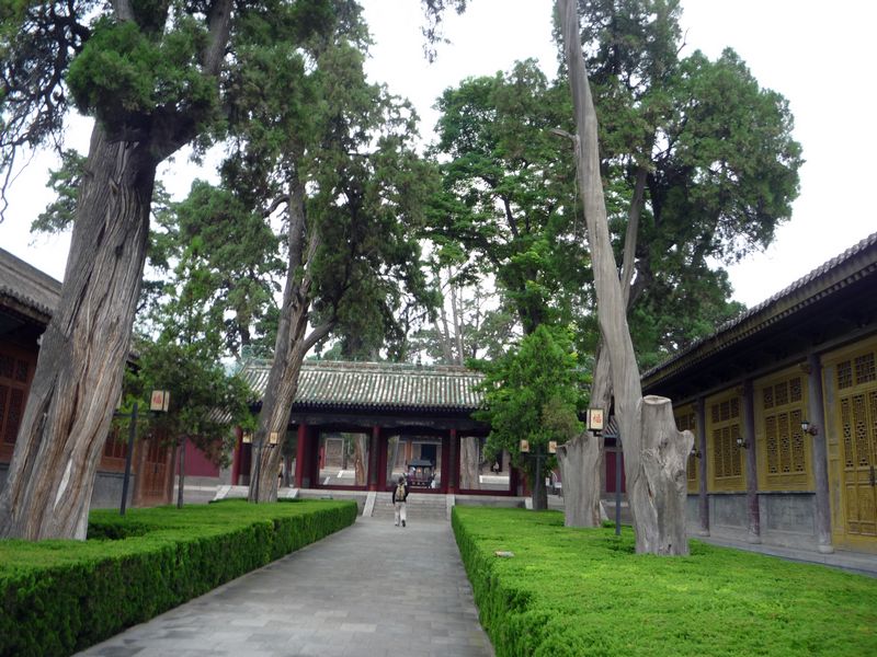 p1040010.jpg