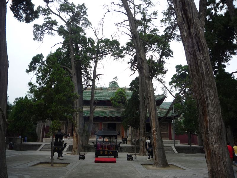p1040010.jpg