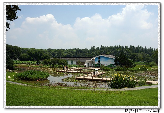 imgp6520.jpg