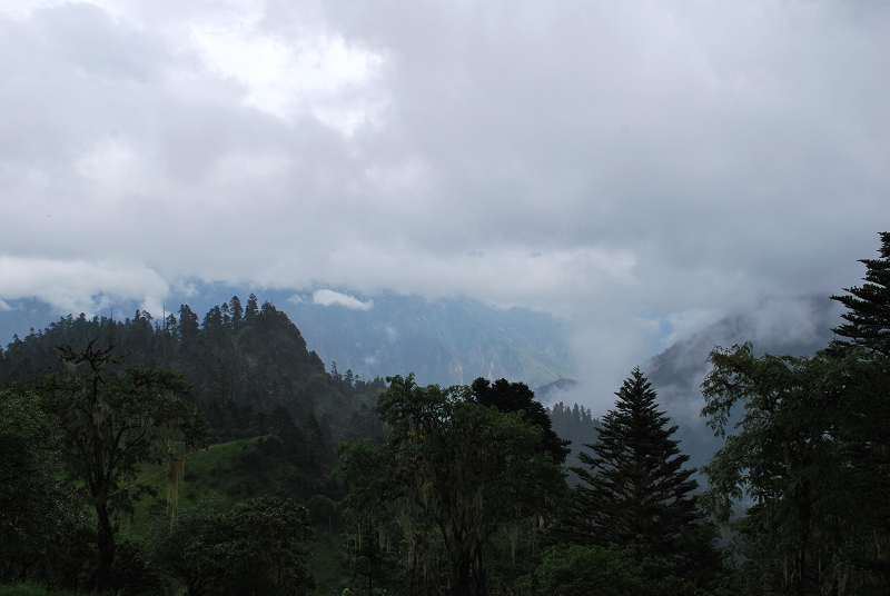 dsc_0311.jpg