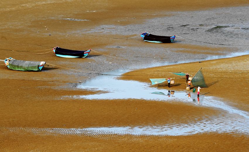 dsc_8988.jpg