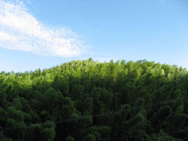 img_6142.jpg