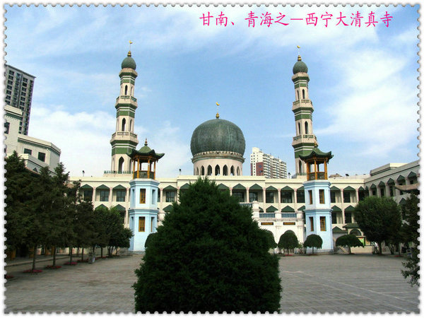 img_0510_1.jpg
