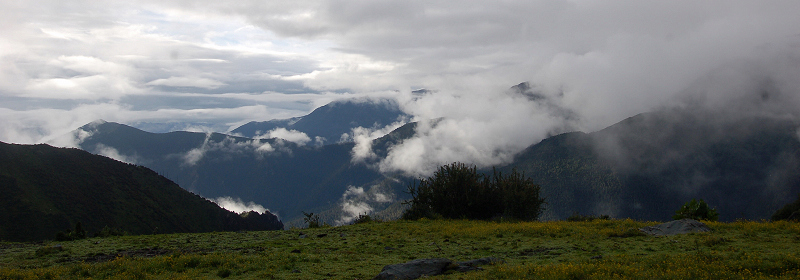 dsc_8711.jpg